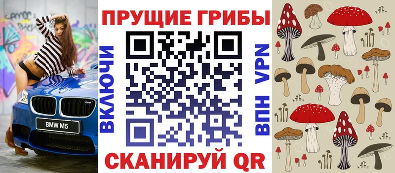 Псилоцибиновые грибы Psilocybe  Верхоянск 